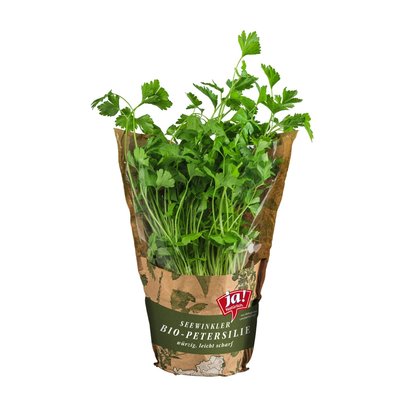 Ja! Kräuterpflanzen 4 Töpfe